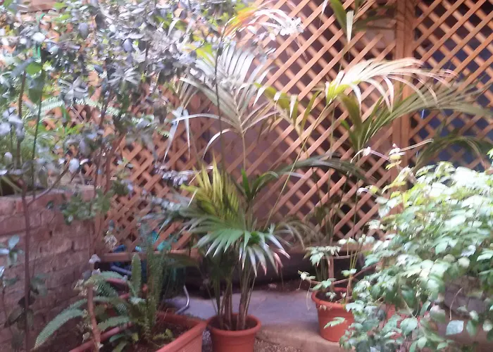 酒店 雷斯登塞酒店